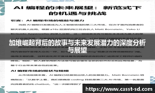 加维崛起背后的故事与未来发展潜力的深度分析与展望